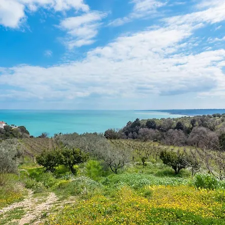 La Conchiglia Dei Sogni - Yourplace Abruzzo Rocca San Giovanni