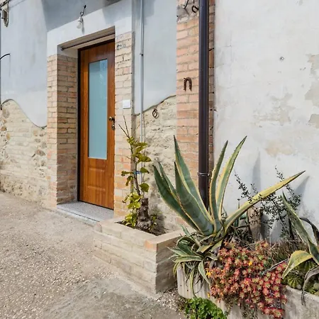 La Conchiglia Dei Sogni - Yourplace Abruzzo *
