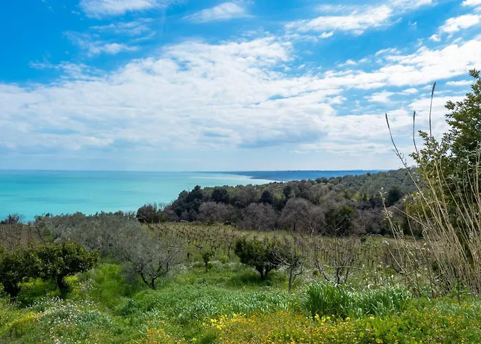 La Conchiglia Dei Sogni - Yourplace Abruzzo *